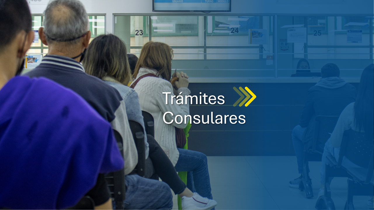 Requisitos para todos los trámites